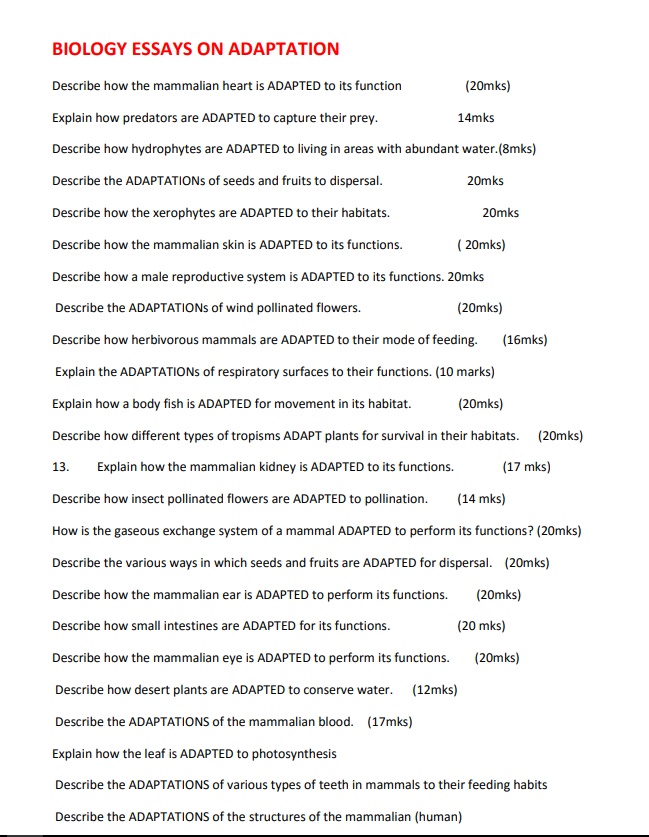 No preview available